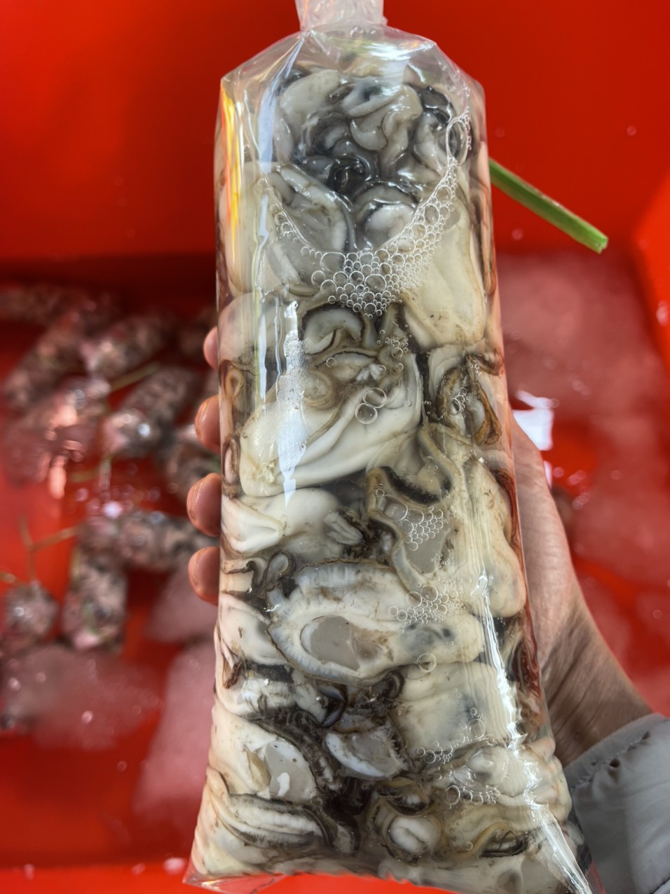 Ruột hàu 1kg